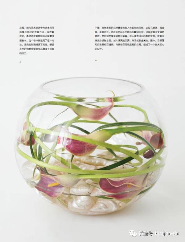 王妃凯特的家_凯特王妃家庭日常小说_凯特王妃一家五口