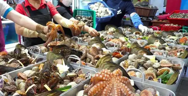 日本为什么往海里排核废料_日本为什么往海里排核废料_日本把核废料排进大海
