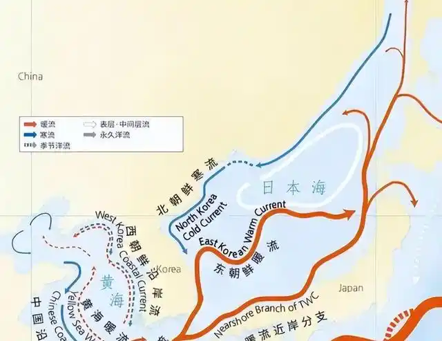 日本把核废料排进大海_日本为什么往海里排核废料_日本为什么往海里排核废料