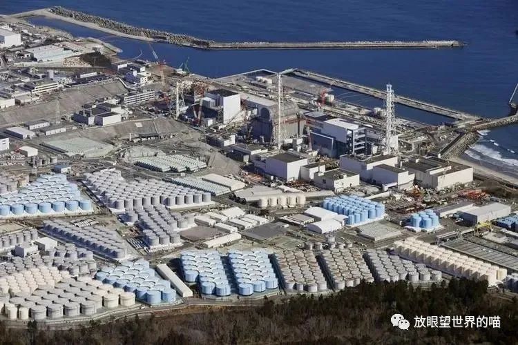 废罐子做手工艺品_核废料罐子手工怎么做_山核桃罐子废物利用
