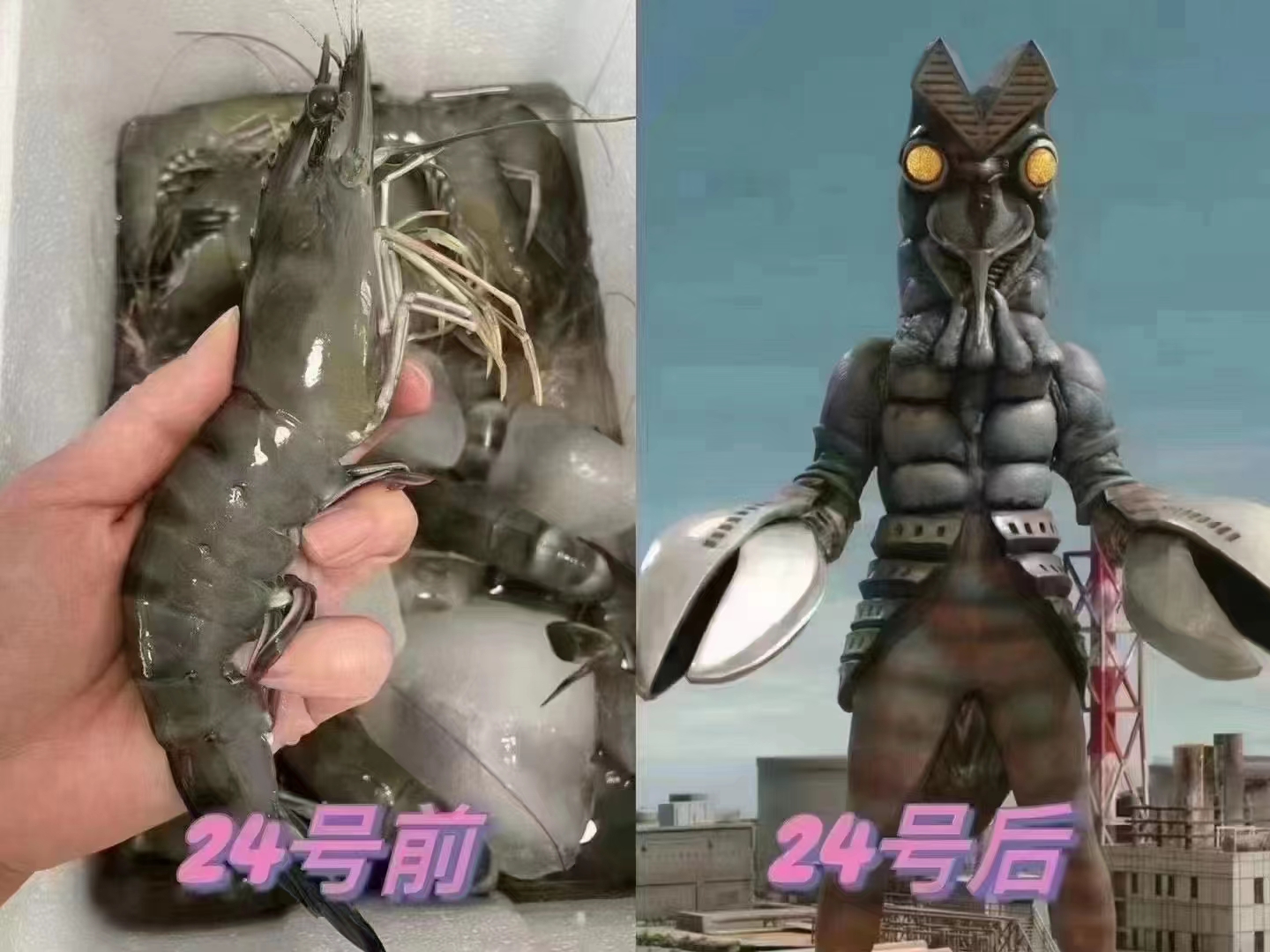 核污染废水变异_核污水变怪兽_核污水变丧尸依据