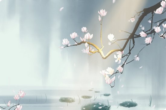 经期减肥基本介绍常识网,常识坊