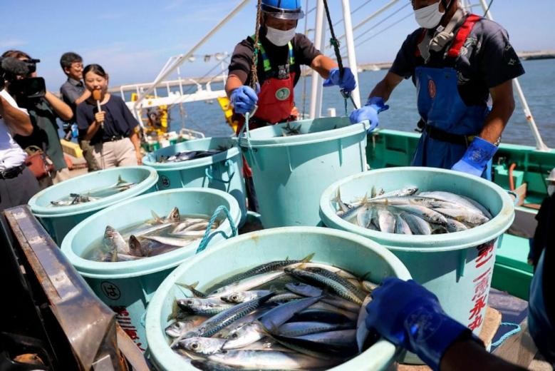 2022年日本核污水排放_日本排放核污水实时监测_日本核污水检测