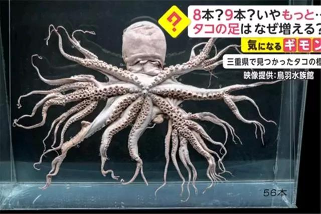 日本排放核污水处理_日本排放核污水数据_日本排放核污水实时监测