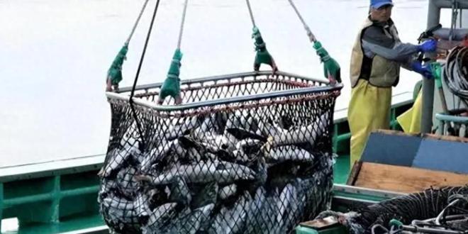 核污水是核废料吗_核污水废料是什么意思_核污水废料是什么东西