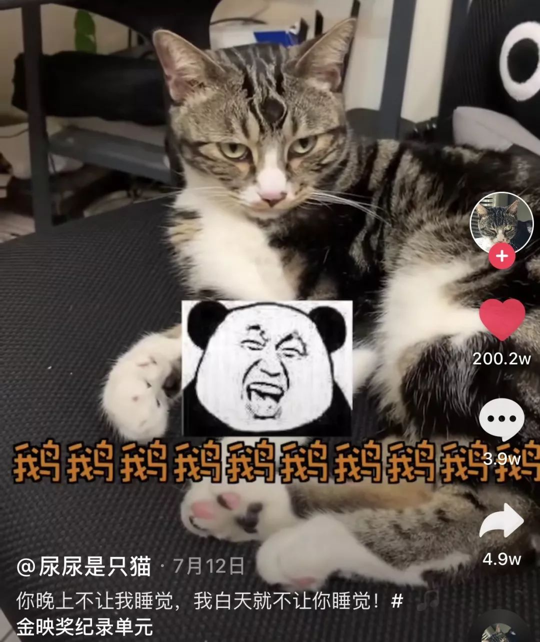 家庭搞笑日常方言段子文案_搞笑方言短句_方言搞笑说说