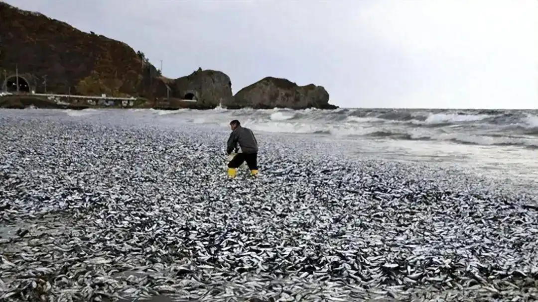 污水核废水处理龙头股_2024核污水_福岛核污水不排入大海的方法