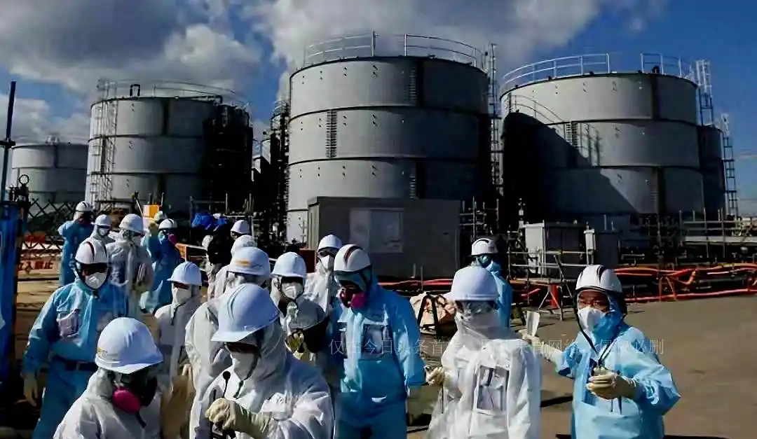 日本排放核污水鳄鱼死亡_文在寅欲起诉日本核污水入海_日本决定将福岛核污水排入大海