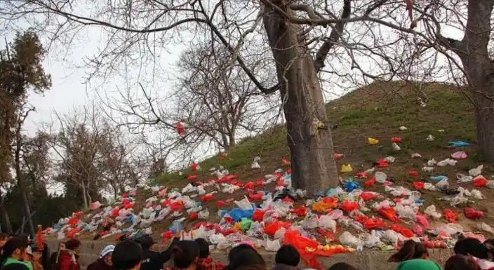 爱护环境具体做法_爱护环境的做法和宣传语_爱护环境的做法