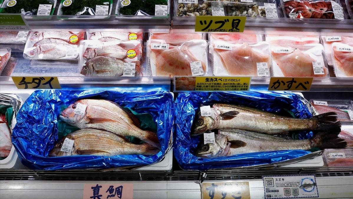 日本排放核污水流向_日本排放核污水20年前_日本排放核污水处理
