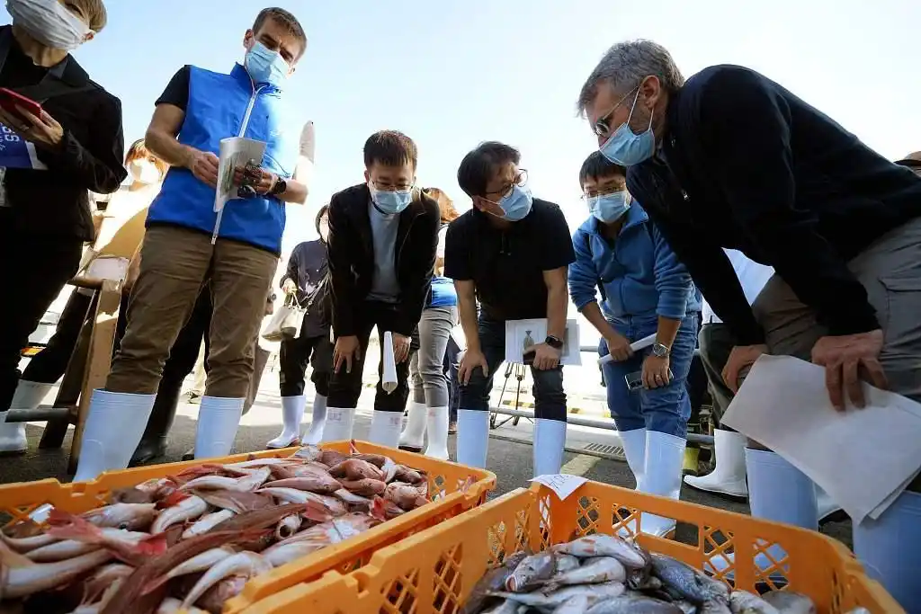 日本排放核污水案例分析_日本排放核污水讨论_专家解读日本核污水排放问题