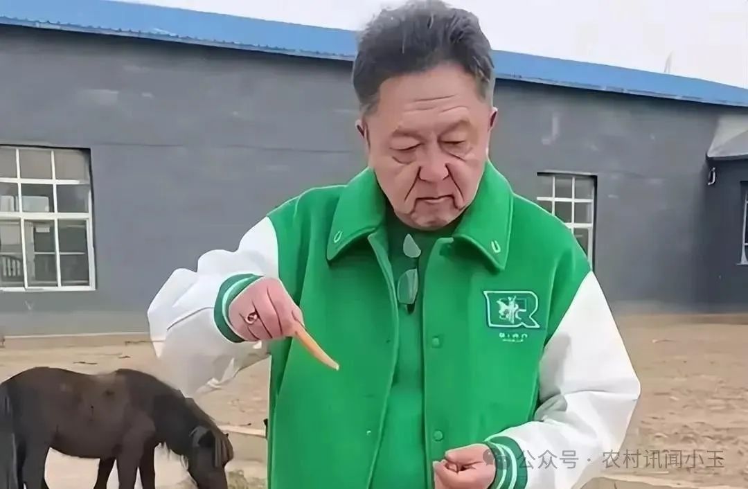 快乐趣事作文_快乐生活趣事多_在快乐的生活学习中的趣事
