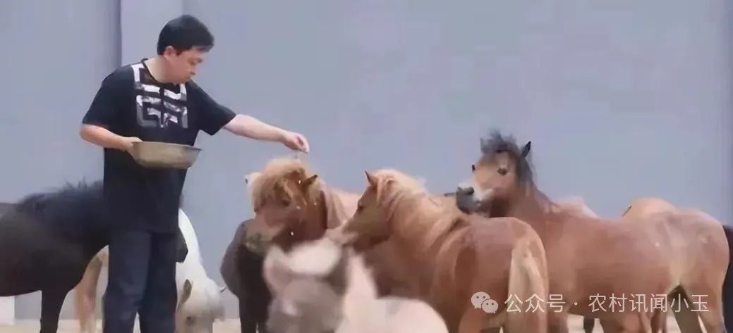 快乐趣事作文_在快乐的生活学习中的趣事_快乐生活趣事多