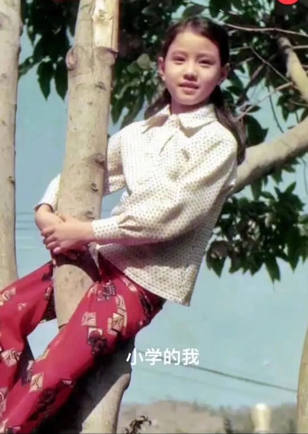 独居的生活方式_独居小技巧_妈妈独居生活技巧