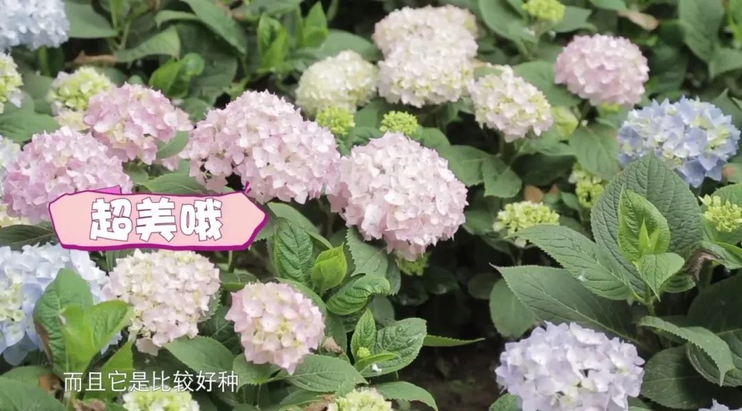 独居小技巧_妈妈独居生活技巧_独居的生活方式
