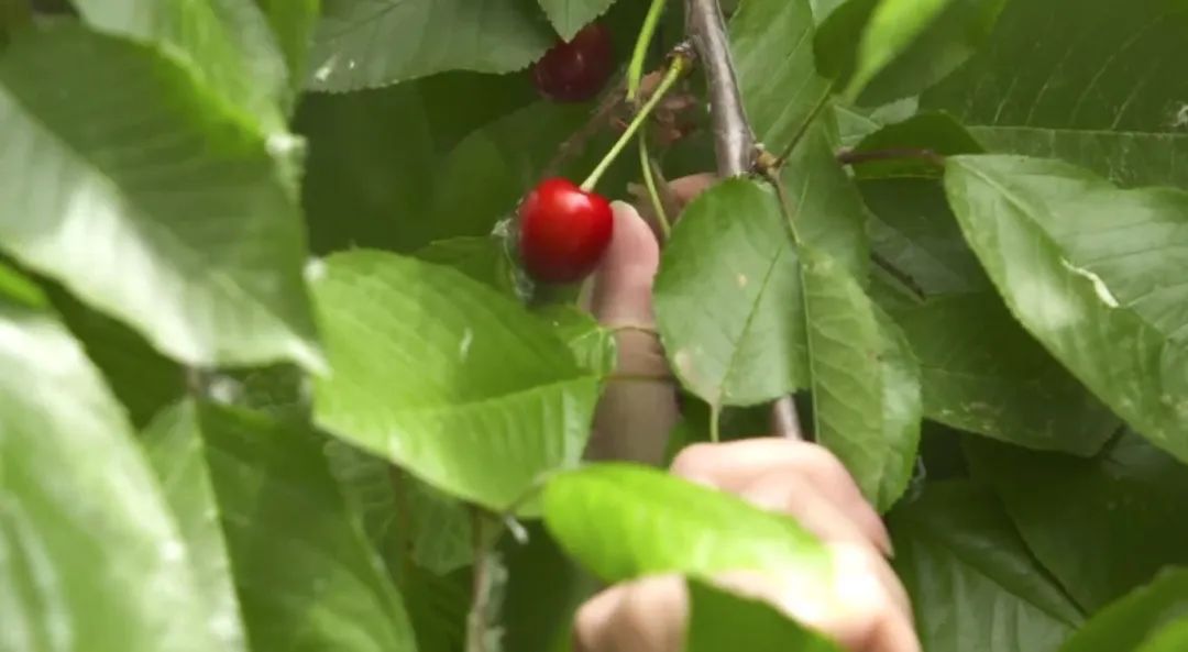独居小技巧_独居的生活方式_妈妈独居生活技巧