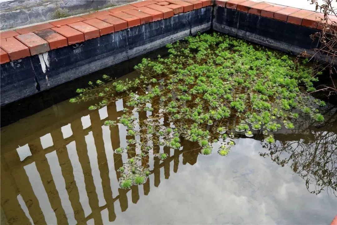 污水厂试水_污水厂试运营_污水厂试运行多长时间