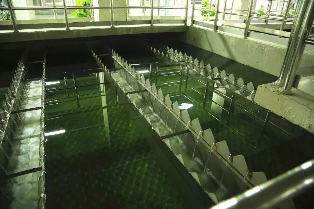 污水厂试水_污水厂试运营_污水厂试运行多长时间